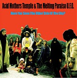 Acid Mothers Temple & The Melting Paraiso U.F.O. - Have You Seen the Other Side of the Sky?