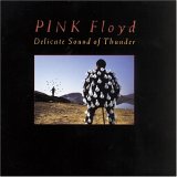 The Pink Floyd - Delicate Sound Of Thunder (CD 2)