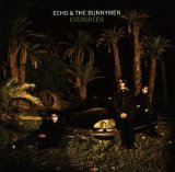Echo & The Bunnymen - Evergreen