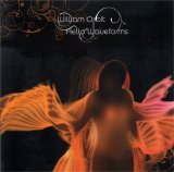William Orbit - Hello Waveforms