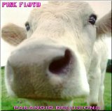 Pink Floyd - Paranoid Delusions