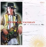 Stevie Ray Vaughan & Double Trouble - In Memorian