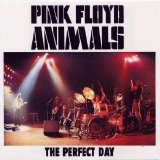 Pink Floyd - The Perfect Day