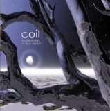Coil - Musick to play in the dark vol. 2