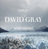 David Gray - Life in Slow Motion