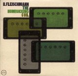 B. Fleischmann - The humbucking coil (Morr - 2005)