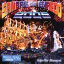 Various artists - Sambas De Enredo 2005