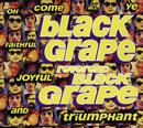 Black Grape - Reverend Black Grape