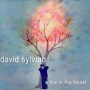 David Sylvian - A Fire In The Forest. Manchester, 24 September 2003