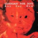 The Legendary Pink Dots - Any Day Now