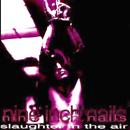 Nine Inch Nails - Slaughter In The Air