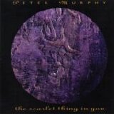 Peter Murphy - The Scarlet Thing In You single