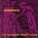 Various artists - Succour: The Terrascope Benefit Album