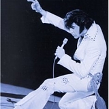 Presley, Elvis - Walk A Mile In My Shoes: The Essential 70's Masters