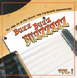 Various artists - Buzz Buzz Buzzzzzz Vol. 1 - The High Art of The Groovy 60's Psychedelic Instrumental