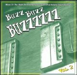 Various artists - Buzz Buzz Buzzzzzz Vol. 2 - More Of The High Art of The Groovy 60's Psychedelic Instrumental