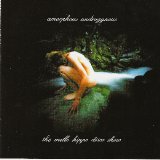 Amorphous Androgynous - The Mello Hippo Disco Show