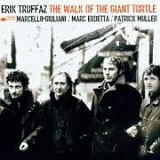 Erik Truffaz - The Walk of the Giant Turtle