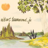 Albert Hammond Jr - Yours To Keep