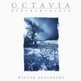 Octavia - Winter Enclosure