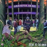 Grateful Dead - Dozin' At The Knick