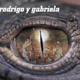 Rodrigo Y Gabriela - Rodrigo y Gabriela (with Bonus DVD)