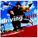 McCartney, Paul - Driving Rain