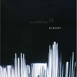 Assemblage 23 - Binary single