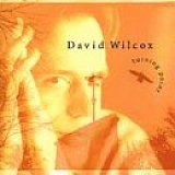 Wilcox, David (David Wilcox) - Turning Point