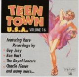 Various artists - Teen Town USA: Volume 16