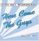 Various artists - One Hit Wonders: Here Come The Guys