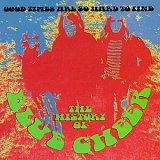 Blue Cheer - Good Times Are So Hard to Find - The History of Blue Cheer