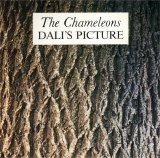 The Chameleons - Dali's Picture
