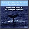 Sounds of Nature - Sounds & Songs Of The Humpback Whales