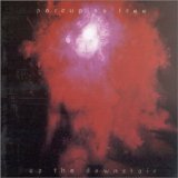 PORCUPINE TREE - 1993: Up The Downstair