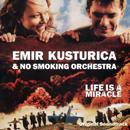 Emir Kusturica & No Smoking Orchestra - Life Is A Miracle