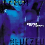 Bluezeum - Portrait Of A Groove