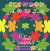 Crowded House - It's Only Natural