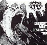 Against All Authority - Destroy What Destroys You