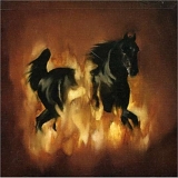 The Besnard Lakes - The Besnard Lakes Are The Dark Horse