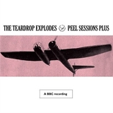 The Teardrop Explodes - Peel Sessions Plus