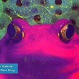 Peter Gabriel - Kiss That Frog