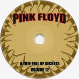 Pink Floyd - Rarities: A Tree Full Of Secrets Volume 12