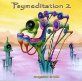 Various artists - Psymeditation 2