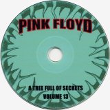 Pink Floyd - Rarities: A Tree Full Of Secrets Volume 13