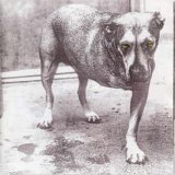 Alice In Chains - Alice in chains