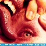 The Flaming Lips - Wastin' Pigs