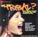 Various artists - Are you Tribal?