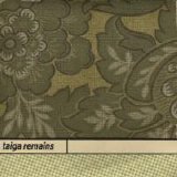 Taiga Remains - Unfamilar Sphere, Thin As Light