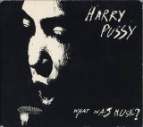 Harry Pussy - What Was Music?